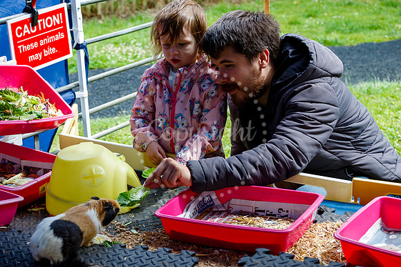 Gislingham Summer Fair held at Primary School field