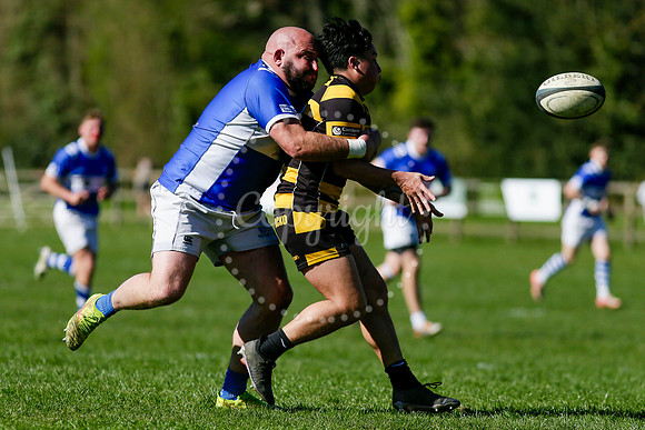Rugby action from Diss vs Ely