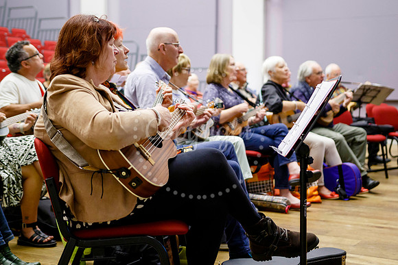 Ukele day held at the Cornhall in Diss