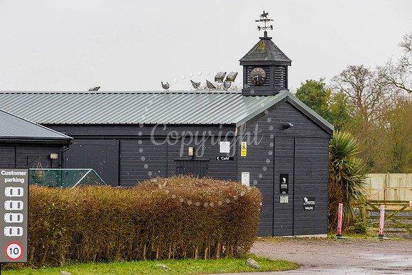 The Good, The Bad and the Ugly Cafe and Potters Animal Feed in W