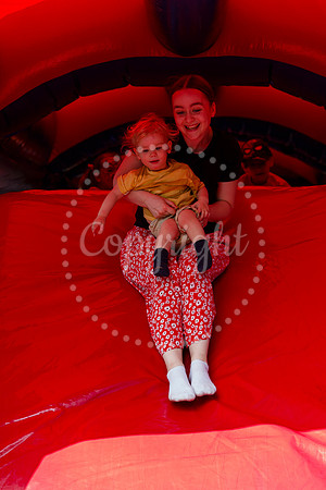 Roydon Summer Fair