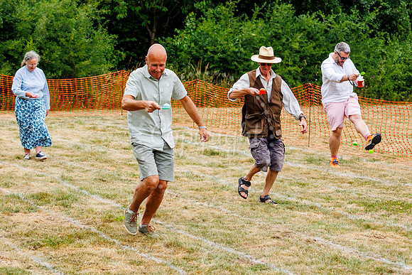 Redlingfield Summer Fayre