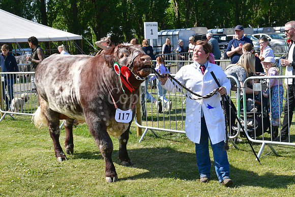 Nottinghamshire County Show