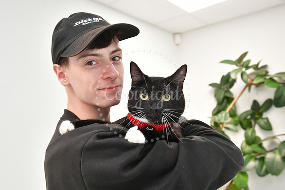 Pet of the Year, competition winners