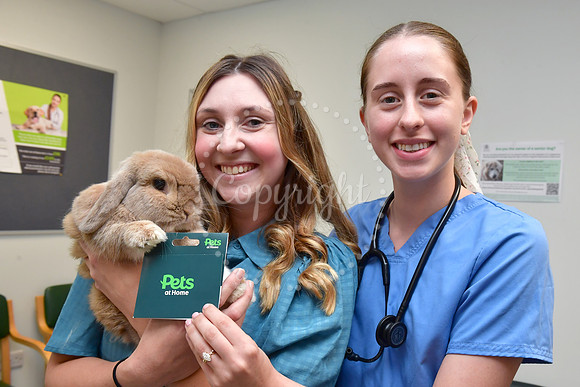 Pet of the Year competition winners