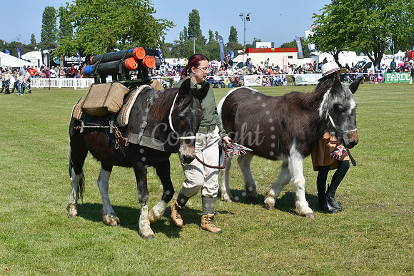 Nottinghamshire County Show