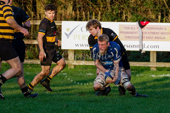 Rugby action from Diss II (Saracens) hosting Southwold II