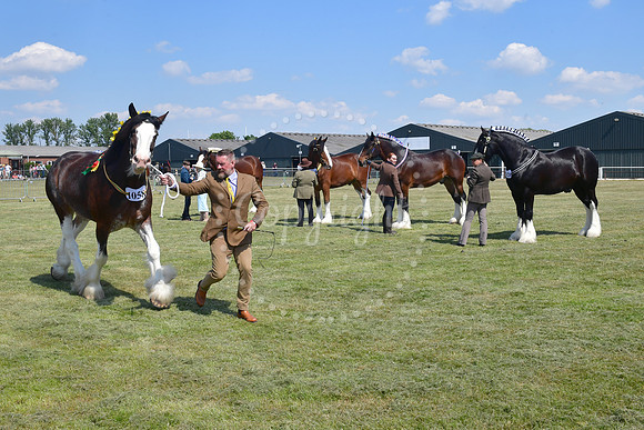 Nottinghamshire County Show