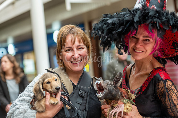 Guineas Centre Newmarket Spooky Science Halloween event. Picture