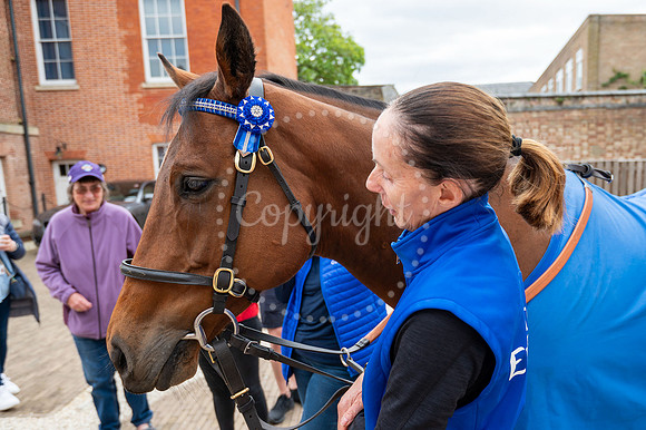 NJ Newmarket National Horseracing Museum, Godolphin therapy hors