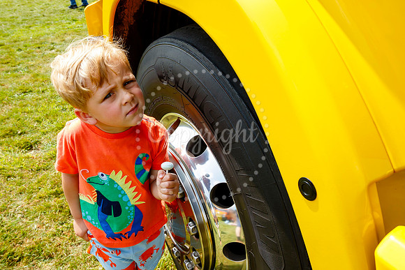 Roydon Summer Fair