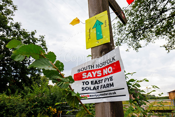 Selina Westcott of the Block East Pye Solar Group