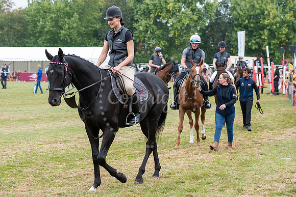 NewmarketNewmarket Stables open day and events on The Severals.