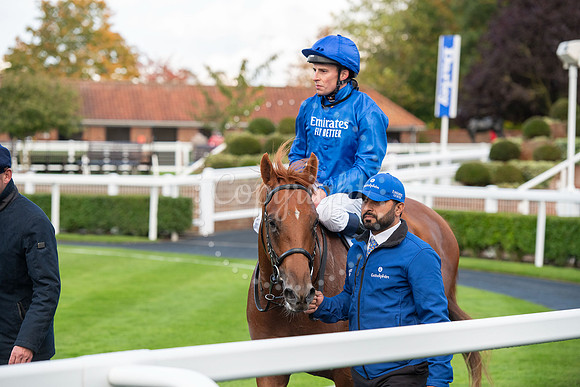 Newmarket Rowley Mile racecourseDubai Future Champions’ weeke
