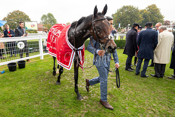 Newmarket Rowley Mile racecourseDubai Future Champions’ weeke