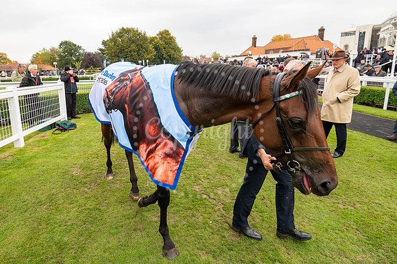 Newmarket Rowley Mile racecourseDubai Future Champions’ weeke