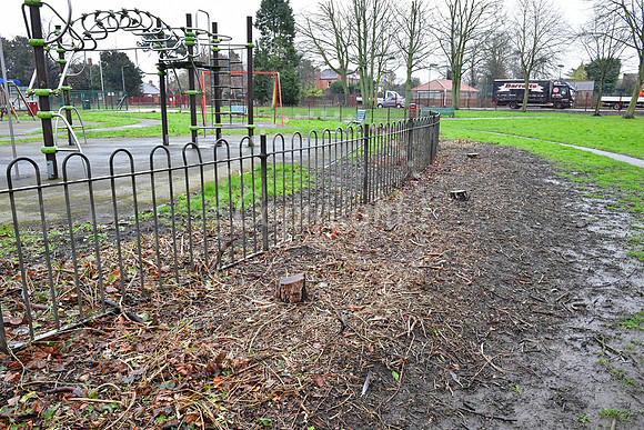 Sherwood Avenue Park