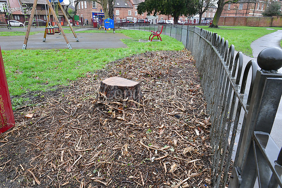 Sherwood Avenue Park