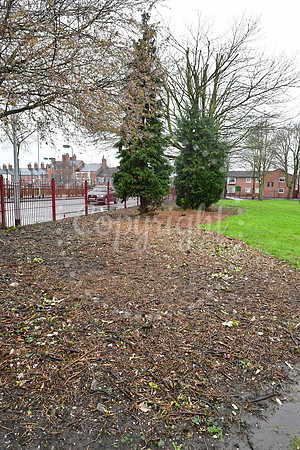 Sherwood Avenue Park
