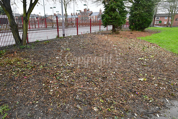 Sherwood Avenue Park