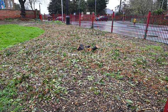 Sherwood Avenue Park
