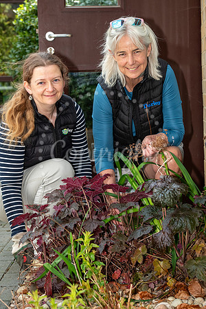 NJ Newmarket community hospitalVolunteers from the racing indus
