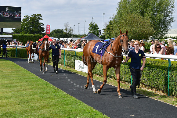 Southwell Racecourse Ladies Day