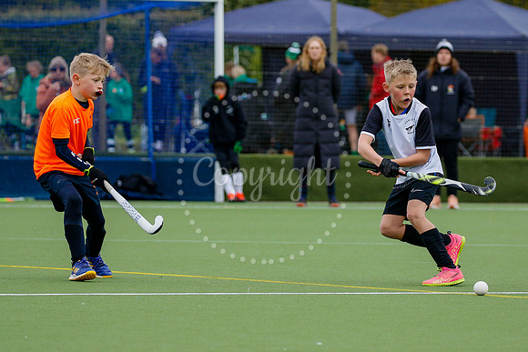 Harleston Magpies hosting the East In2Hockey Championships
