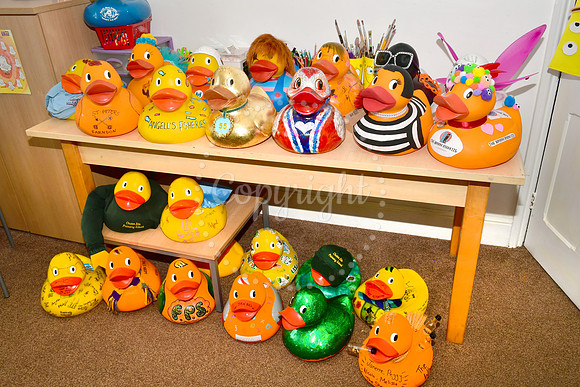 Childrens Bereavement Centre Duck Race