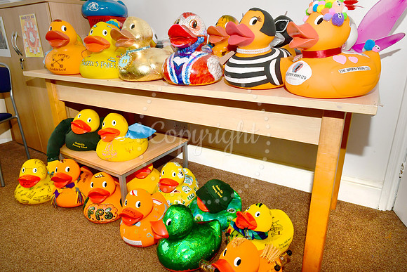 Childrens Bereavement Centre Duck Race