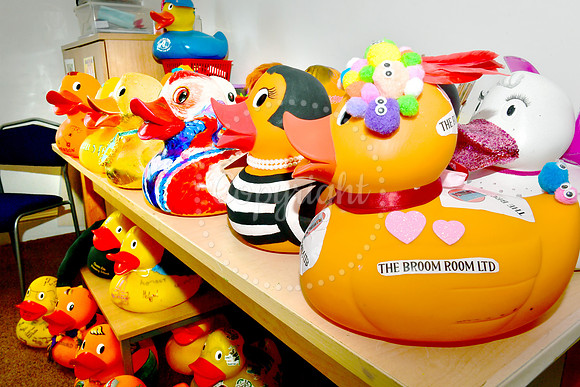 Childrens Bereavement Centre Duck Race