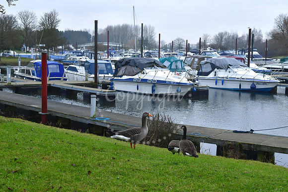 Farndon Marina