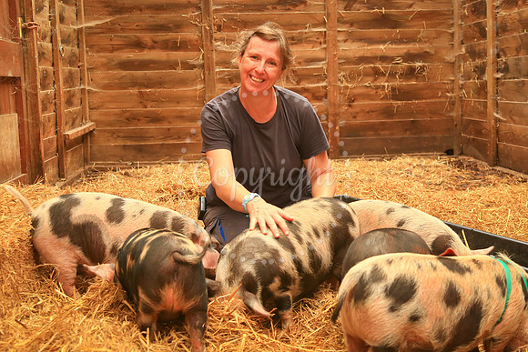 Everlong Farm