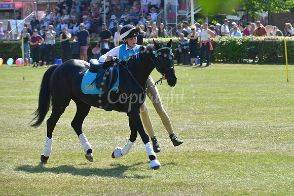 Nottinghamshire County Show