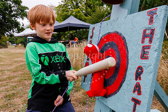 Redlingfield Summer Fayre