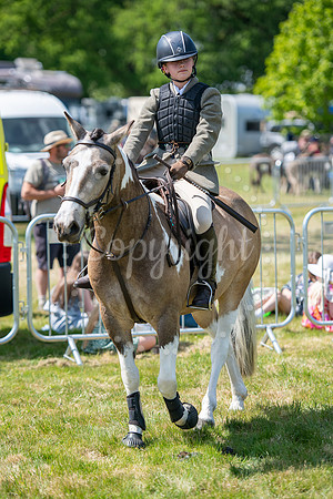 SPF Holbecks Park, Hadleigh, Suffolk186th Hadleigh Show. Pictur