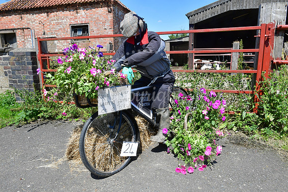 Dry Doddington Scarecrow trail