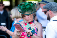 NJ Ladies Day 2025 Newmarket July course. Picture by Mark Westle