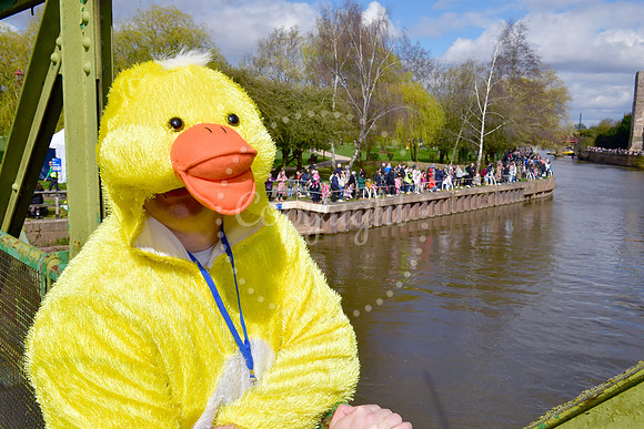 Children's Bereavement Centre and Newark Round Table, Duck race
