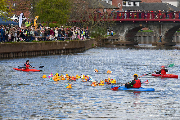 Children's Bereavement Centre and Newark Round Table, Duck race