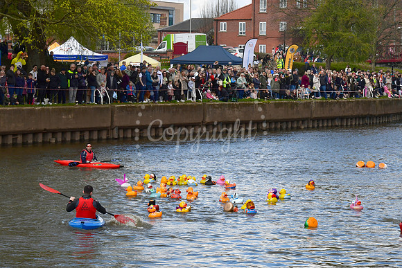 Children's Bereavement Centre and Newark Round Table, Duck race