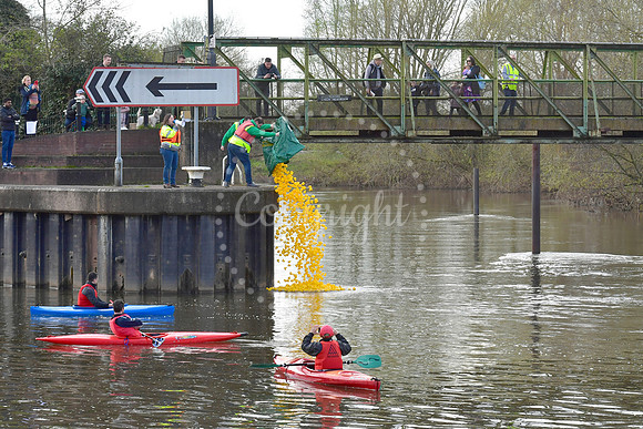 Children's Bereavement Centre and Newark Round Table, Duck race