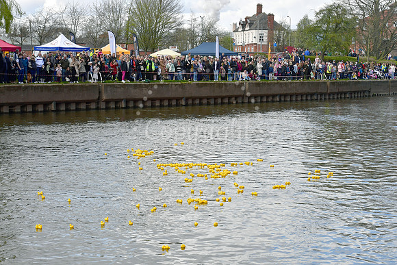 Children's Bereavement Centre and Newark Round Table, Duck race