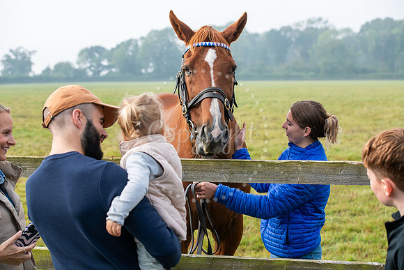 Wood Ditton StudFirst public opening of Godolphin’s retired r