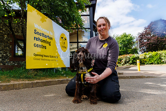 Dogs Trust Open Day
