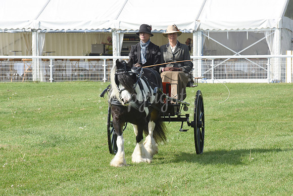 Nottingham County Show