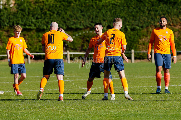 Diss Town vs Needham Market Reserves