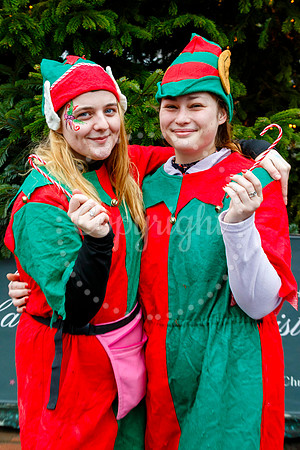 Visit Harleston’s festive day held on the Market Place in the