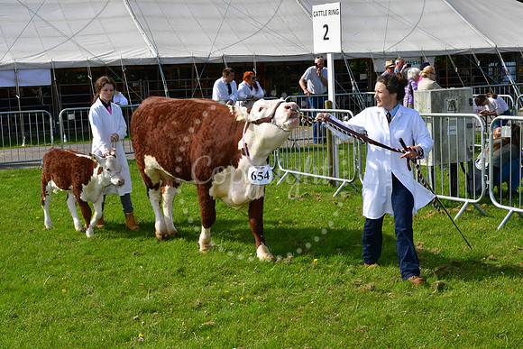 Nottingham County Show