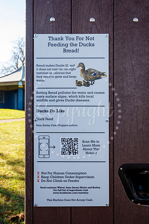 Diss Duck Feeding Station